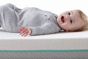 Best Mattress for Newborn Crib: Sleep Safe & Sound Organic & Natural Mattress Buyer’s Guide: Non-Toxic Sleep Solutions Best Mattress for Newborn Crib: Sleep Safe & Sound | Organic & Natural Mattress Buyer’s Guide: Non-Toxic Sleep Solutions