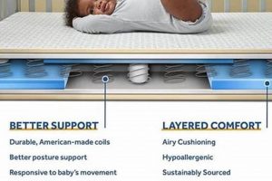 Best Sealy Ortho Rest Crib Mattress for Baby's Rest | Organic & Natural Mattress Buyer’s Guide: Non-Toxic Sleep Solutions