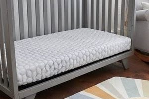Lullaby Earth Crib Mattress: Safe, Certified [Sleep] | Organic & Natural Mattress Buyer’s Guide: Non-Toxic Sleep Solutions