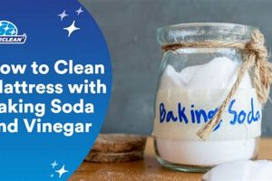 Easy: How to Clean a Mattress with Baking Soda & Vinegar! | Organic & Natural Mattress Buyer’s Guide: Non-Toxic Sleep Solutions