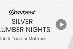 Beautyrest Crib Mattress: The Best Sleep Solution for Baby | Organic & Natural Mattress Buyer’s Guide: Non-Toxic Sleep Solutions