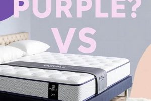 Purple vs. Puffy Mattress: Which Bed Wins? Safem Fabrication - Precision Engineering & Custom Manufacturing Solutions Purple vs. Puffy Mattress: Which Bed Wins? | Safem Fabrication - Precision Engineering & Custom Manufacturing Solutions