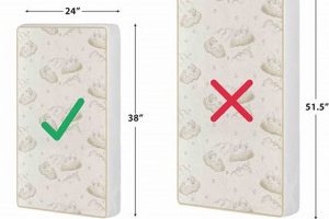 Best Compact Crib Mattress Size Guide: [Year] | Organic & Natural Mattress Buyer’s Guide: Non-Toxic Sleep Solutions