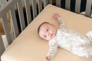 Top-Rated: Best Crib Mattress for Baby's Sleep! | Organic & Natural Mattress Buyer’s Guide: Non-Toxic Sleep Solutions