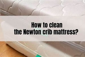 How To Clean Newton Mattress Organic & Natural Mattress Buyer’s Guide: Non-Toxic Sleep Solutions How To Clean Newton Mattress | Organic & Natural Mattress Buyer’s Guide: Non-Toxic Sleep Solutions