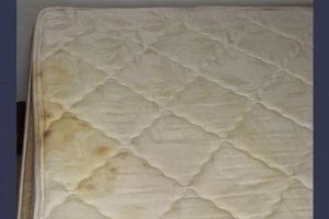 Easy: How to Clean a Stinky Mattress (and Keep it Fresh!) | Organic & Natural Mattress Buyer’s Guide: Non-Toxic Sleep Solutions