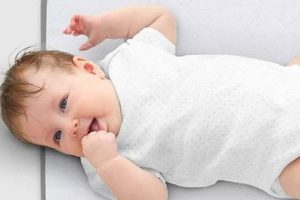 Top-Rated Crib Mattress Pad: Ultimate Baby Sleep Guide | Organic & Natural Mattress Buyer’s Guide: Non-Toxic Sleep Solutions