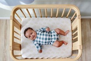 Best Nestig Crib Mattress: Safe Sleep Starts Here! | Organic & Natural Mattress Buyer’s Guide: Non-Toxic Sleep Solutions