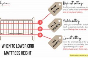 Crib Safety: How to Lower Crib Mattress Easily Organic & Natural Mattress Buyer’s Guide: Non-Toxic Sleep Solutions Crib Safety: How to Lower Crib Mattress Easily | Organic & Natural Mattress Buyer’s Guide: Non-Toxic Sleep Solutions
