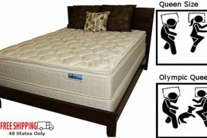 Shop Olympic Queen Mattress for Sale Now! Deals Await Safem Fabrication - Precision Engineering & Custom Manufacturing Solutions Shop Olympic Queen Mattress for Sale Now! Deals Await | Safem Fabrication - Precision Engineering & Custom Manufacturing Solutions