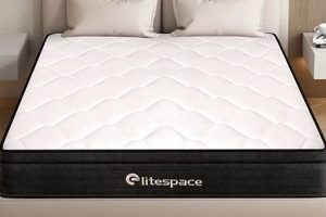 Best Big Lots Mattress Queen Sale! Deals Inside Organic & Natural Mattress Buyer’s Guide: Non-Toxic Sleep Solutions Best Big Lots Mattress Queen Sale! Deals Inside | Organic & Natural Mattress Buyer’s Guide: Non-Toxic Sleep Solutions
