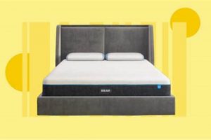 Get Best Bear Mattress Black Friday Sale Deals Now! Organic & Natural Mattress Buyer’s Guide: Non-Toxic Sleep Solutions Get Best Bear Mattress Black Friday Sale Deals Now! | Organic & Natural Mattress Buyer’s Guide: Non-Toxic Sleep Solutions