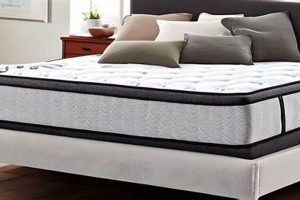 Local Mattress Sales Jobs Near Me: Find Your Dream Role Organic & Natural Mattress Buyer’s Guide: Non-Toxic Sleep Solutions Local Mattress Sales Jobs Near Me: Find Your Dream Role | Organic & Natural Mattress Buyer’s Guide: Non-Toxic Sleep Solutions