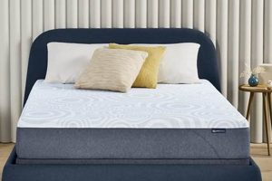 Shop Serta Queen Mattress Sale Now! Deals Inside Organic & Natural Mattress Buyer’s Guide: Non-Toxic Sleep Solutions Shop Serta Queen Mattress Sale Now! Deals Inside | Organic & Natural Mattress Buyer’s Guide: Non-Toxic Sleep Solutions