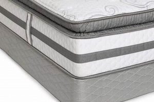 Shop Big Lots Queen Mattress Sale Now! Organic & Natural Mattress Buyer’s Guide: Non-Toxic Sleep Solutions Shop Big Lots Queen Mattress Sale Now! | Organic & Natural Mattress Buyer’s Guide: Non-Toxic Sleep Solutions