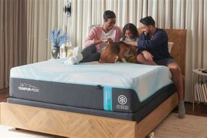 Don't Miss! 4th of July Mattress Sale - Sleep Deeper Now Organic & Natural Mattress Buyer’s Guide: Non-Toxic Sleep Solutions Don't Miss! 4th of July Mattress Sale - Sleep Deeper Now | Organic & Natural Mattress Buyer’s Guide: Non-Toxic Sleep Solutions