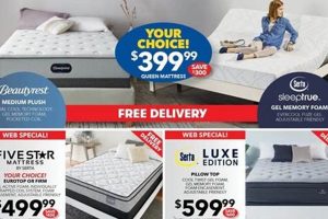 Best Mattress Sale Las Vegas: Deals Near You! Organic & Natural Mattress Buyer’s Guide: Non-Toxic Sleep Solutions Best Mattress Sale Las Vegas: Deals Near You! | Organic & Natural Mattress Buyer’s Guide: Non-Toxic Sleep Solutions