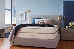 Find Your Dream Mattress Sale Houston Today! Organic & Natural Mattress Buyer’s Guide: Non-Toxic Sleep Solutions Find Your Dream Mattress Sale Houston Today! | Organic & Natural Mattress Buyer’s Guide: Non-Toxic Sleep Solutions