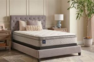 Find Your Sealy Mattress Sale Bliss! Deals Inside Organic & Natural Mattress Buyer’s Guide: Non-Toxic Sleep Solutions Find Your Sealy Mattress Sale Bliss! Deals Inside | Organic & Natural Mattress Buyer’s Guide: Non-Toxic Sleep Solutions