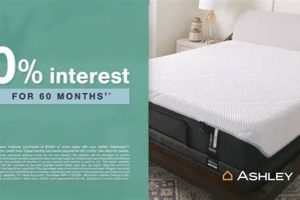 Top Ashley Mattress Sale Deals: Sleep Better Now! | Organic & Natural Mattress Buyer’s Guide: Non-Toxic Sleep Solutions
