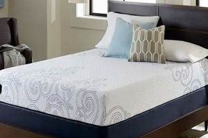 Best Poly Foam Mattress? A Buyer's Guide + Tips Safem Fabrication - Precision Engineering & Custom Manufacturing Solutions Best Poly Foam Mattress? A Buyer's Guide + Tips | Safem Fabrication - Precision Engineering & Custom Manufacturing Solutions