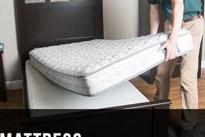 Don't Miss Menards Mattress Sale! Deals Inside Organic & Natural Mattress Buyer’s Guide: Non-Toxic Sleep Solutions Don't Miss Menards Mattress Sale! Deals Inside | Organic & Natural Mattress Buyer’s Guide: Non-Toxic Sleep Solutions