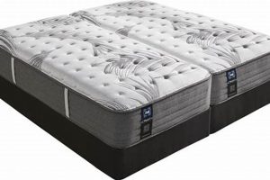 Best King Size Mattress Sales! Comfort Awaits Organic & Natural Mattress Buyer’s Guide: Non-Toxic Sleep Solutions Best King Size Mattress Sales! Comfort Awaits | Organic & Natural Mattress Buyer’s Guide: Non-Toxic Sleep Solutions