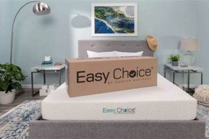 Best Denver Mattress Sales Today: Find Your Sleep Deal! | Organic & Natural Mattress Buyer’s Guide: Non-Toxic Sleep Solutions