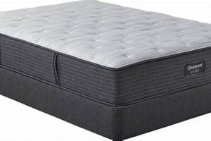 Unlock Savings: Rooms To Go Mattress Sales Today! | Organic & Natural Mattress Buyer’s Guide: Non-Toxic Sleep Solutions