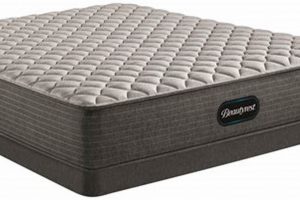 Save Big at the Levin Mattress Sale: Deals Inside! | Organic & Natural Mattress Buyer’s Guide: Non-Toxic Sleep Solutions