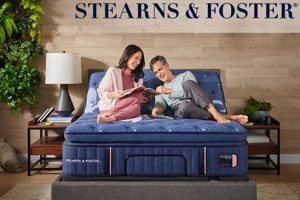 Don't Miss! Bernie & Phyl's Mattress Sale: Save Big Now | Organic & Natural Mattress Buyer’s Guide: Non-Toxic Sleep Solutions