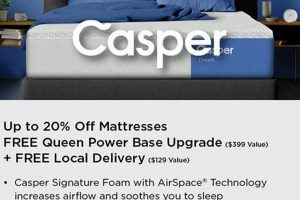 Big Sandy Mattress Sale: Deals You Can't Miss! | Organic & Natural Mattress Buyer’s Guide: Non-Toxic Sleep Solutions