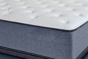Don't Miss Out! Haynes Furniture Mattress Sale Today Only | Organic & Natural Mattress Buyer’s Guide: Non-Toxic Sleep Solutions