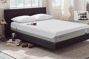 Find Your Dream Mattress at Sleep City Mattress Center Today! Safem Fabrication - Precision Engineering & Custom Manufacturing Solutions Find Your Dream Mattress at Sleep City Mattress Center Today! | Safem Fabrication - Precision Engineering & Custom Manufacturing Solutions