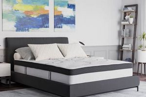 The Key to Sleep Easy: Choosing the Right Mattress Safem Fabrication - Precision Engineering & Custom Manufacturing Solutions The Key to Sleep Easy: Choosing the Right Mattress | Safem Fabrication - Precision Engineering & Custom Manufacturing Solutions