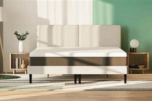 Sleeping on a Mattress While It's Expanding: Is It Safe? Organic & Natural Mattress Buyer’s Guide: Non-Toxic Sleep Solutions Sleeping on a Mattress While It's Expanding: Is It Safe? | Organic & Natural Mattress Buyer’s Guide: Non-Toxic Sleep Solutions