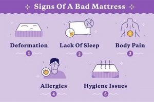 Is Your Mattress To Blame? Symptoms of a Bad Mattress for Sleep Organic & Natural Mattress Buyer’s Guide: Non-Toxic Sleep Solutions Is Your Mattress To Blame? Symptoms of a Bad Mattress for Sleep | Organic & Natural Mattress Buyer’s Guide: Non-Toxic Sleep Solutions