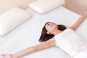 Best Live and Sleep Mattress: Ultimate Sleep Guide Organic & Natural Mattress Buyer’s Guide: Non-Toxic Sleep Solutions Best Live and Sleep Mattress: Ultimate Sleep Guide | Organic & Natural Mattress Buyer’s Guide: Non-Toxic Sleep Solutions