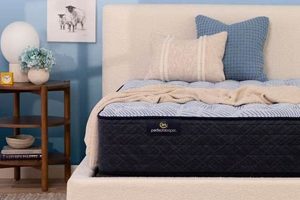 Is Queen Serta Perfect Sleeper Mattress Right For Your Sleep? Organic & Natural Mattress Buyer’s Guide: Non-Toxic Sleep Solutions Is Queen Serta Perfect Sleeper Mattress Right For Your Sleep? | Organic & Natural Mattress Buyer’s Guide: Non-Toxic Sleep Solutions