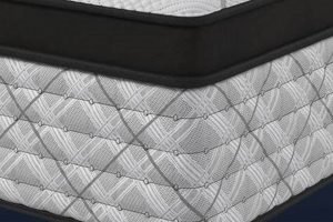 Best Sleep to Live Mattress: [Benefit] & Beyond | Organic & Natural Mattress Buyer’s Guide: Non-Toxic Sleep Solutions