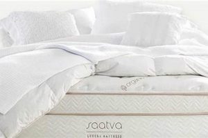 Top-Rated Best Stomach Sleeper Mattress: Sleep Soundly! Organic & Natural Mattress Buyer’s Guide: Non-Toxic Sleep Solutions Top-Rated Best Stomach Sleeper Mattress: Sleep Soundly! | Organic & Natural Mattress Buyer’s Guide: Non-Toxic Sleep Solutions