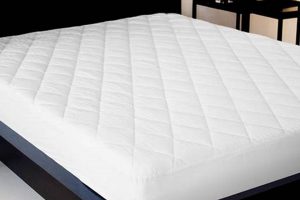 Find Your Perfect Sleep Tight Mattress Today! Organic & Natural Mattress Buyer’s Guide: Non-Toxic Sleep Solutions Find Your Perfect Sleep Tight Mattress Today! | Organic & Natural Mattress Buyer’s Guide: Non-Toxic Sleep Solutions