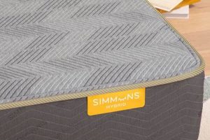 Simmons Deep Sleep Mattress Reviews: Is It Worth It? Organic & Natural Mattress Buyer’s Guide: Non-Toxic Sleep Solutions Simmons Deep Sleep Mattress Reviews: Is It Worth It? | Organic & Natural Mattress Buyer’s Guide: Non-Toxic Sleep Solutions