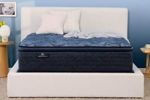 Discover Your Perfect Sleeper Mattress: Sleep Soundly Tonight! Organic & Natural Mattress Buyer’s Guide: Non-Toxic Sleep Solutions Discover Your Perfect Sleeper Mattress: Sleep Soundly Tonight! | Organic & Natural Mattress Buyer’s Guide: Non-Toxic Sleep Solutions