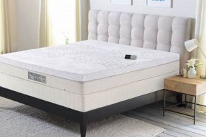 Sleep Number King Mattress Price: Is It Worth It? Organic & Natural Mattress Buyer’s Guide: Non-Toxic Sleep Solutions Sleep Number King Mattress Price: Is It Worth It? | Organic & Natural Mattress Buyer’s Guide: Non-Toxic Sleep Solutions