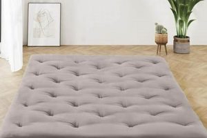 Best Sleeping Living Room Floor Mattress (Guide) Organic & Natural Mattress Buyer’s Guide: Non-Toxic Sleep Solutions Best Sleeping Living Room Floor Mattress (Guide) | Organic & Natural Mattress Buyer’s Guide: Non-Toxic Sleep Solutions