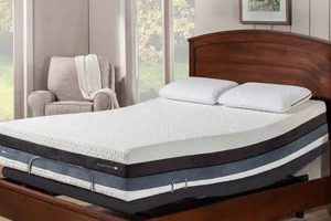 Deep Dive: Sleep Science Mattress Reviews & Buying Guide Organic & Natural Mattress Buyer’s Guide: Non-Toxic Sleep Solutions Deep Dive: Sleep Science Mattress Reviews & Buying Guide | Organic & Natural Mattress Buyer’s Guide: Non-Toxic Sleep Solutions