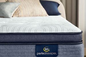Best Serta Perfect Sleeper Mattress Queen? | Sleep Better! Organic & Natural Mattress Buyer’s Guide: Non-Toxic Sleep Solutions Best Serta Perfect Sleeper Mattress Queen? | Sleep Better! | Organic & Natural Mattress Buyer’s Guide: Non-Toxic Sleep Solutions