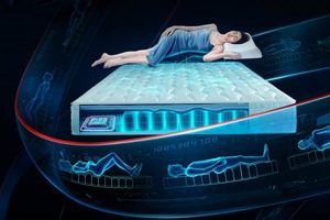 The Key: How to Adjust Your Sleep Mattress For Comfort Organic & Natural Mattress Buyer’s Guide: Non-Toxic Sleep Solutions The Key: How to Adjust Your Sleep Mattress For Comfort | Organic & Natural Mattress Buyer’s Guide: Non-Toxic Sleep Solutions