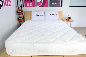 Sleep Soundly: Sleep EZ Latex Mattress Comfort Organic & Natural Mattress Buyer’s Guide: Non-Toxic Sleep Solutions Sleep Soundly: Sleep EZ Latex Mattress Comfort | Organic & Natural Mattress Buyer’s Guide: Non-Toxic Sleep Solutions